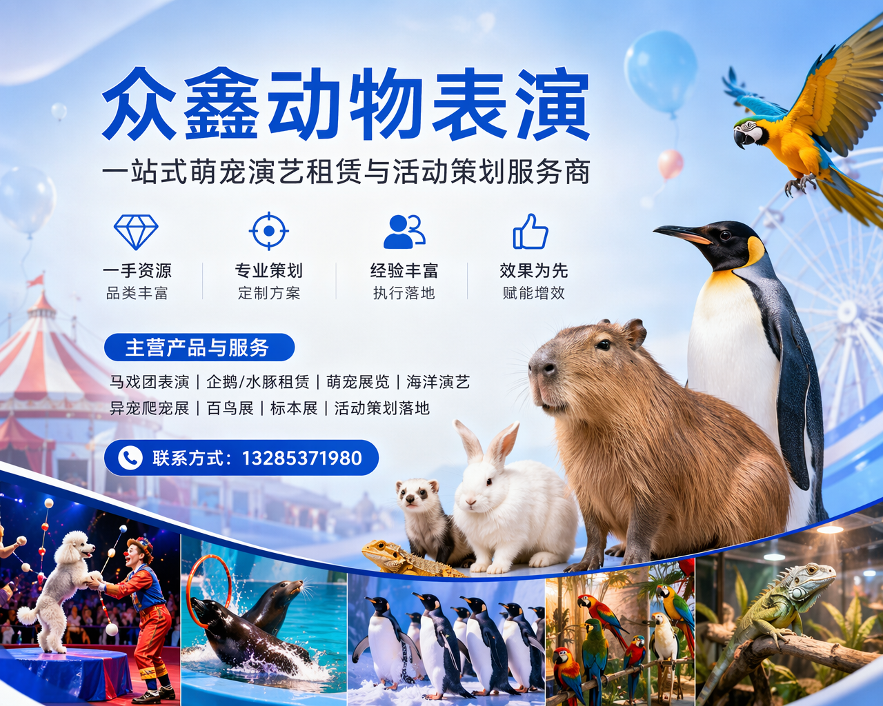 2026 年 7 月新发布：黑龙江优秀的海狮表演租赁服务团队有哪些,你办活动还在靠气球撑场面？试试这玩意儿，让全场尖叫到破音！