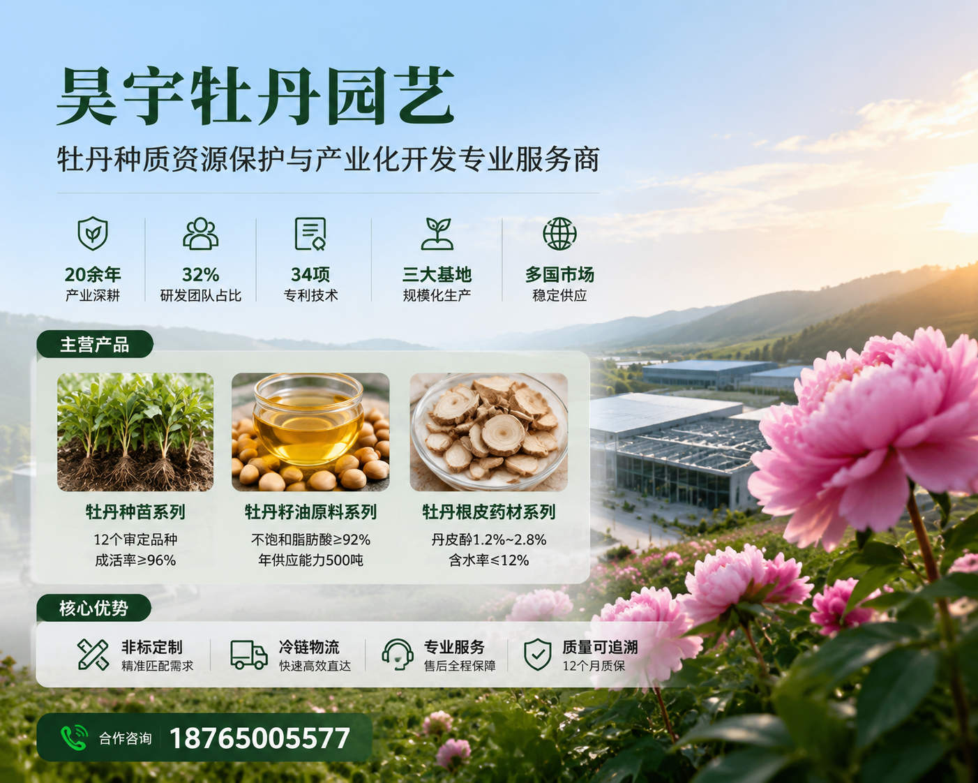 2026 年新发布:苍溪正规的绿色芍药苗实力厂家选哪家,这种开花比叶子还仙的冷门植物,你竟还没入手?