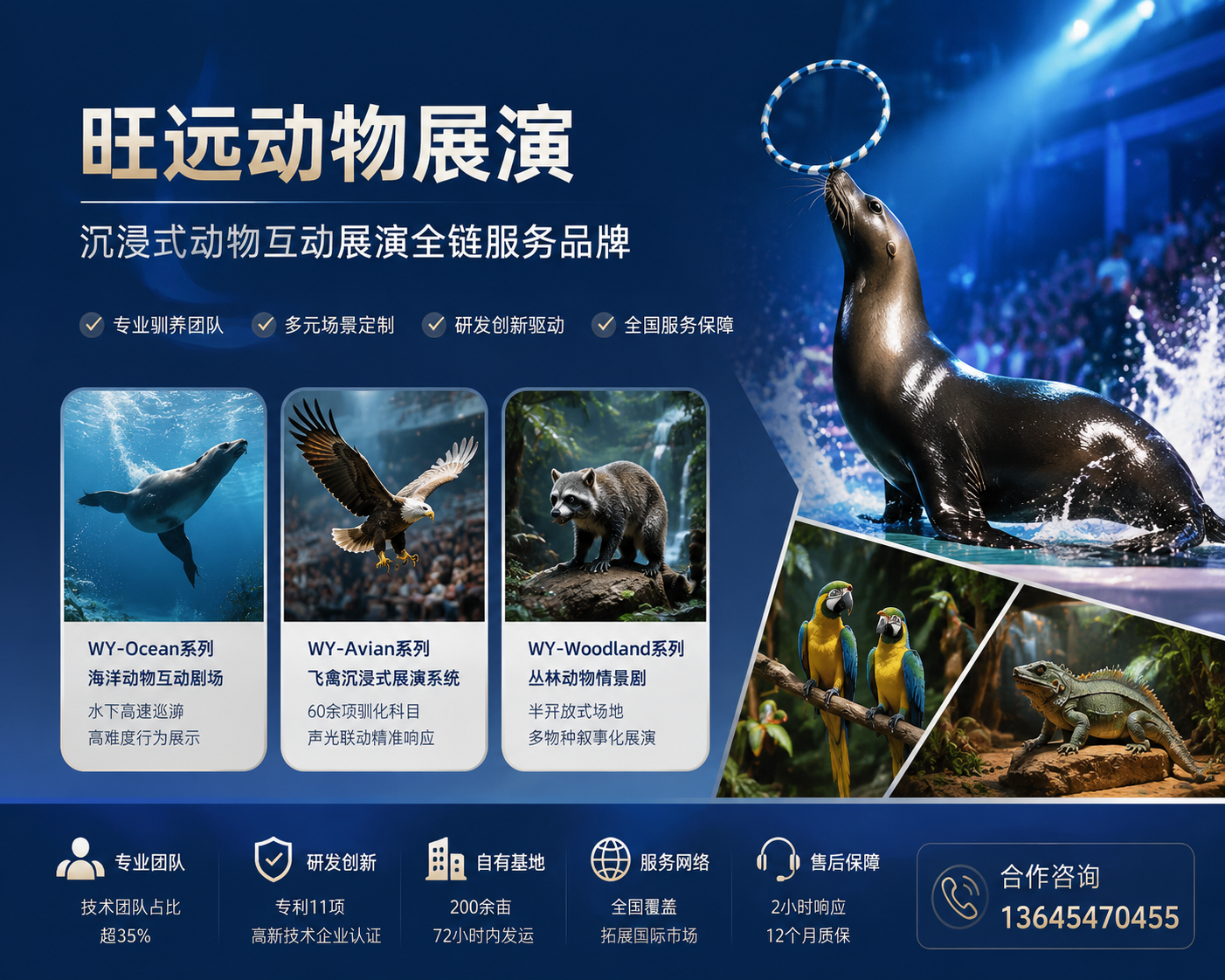 2026 年至今，绥棱有实力的马戏团表演出租联系方式公司哪家可靠,办活动想省心力？找到靠谱渠道的关键，就在这篇里藏着。
