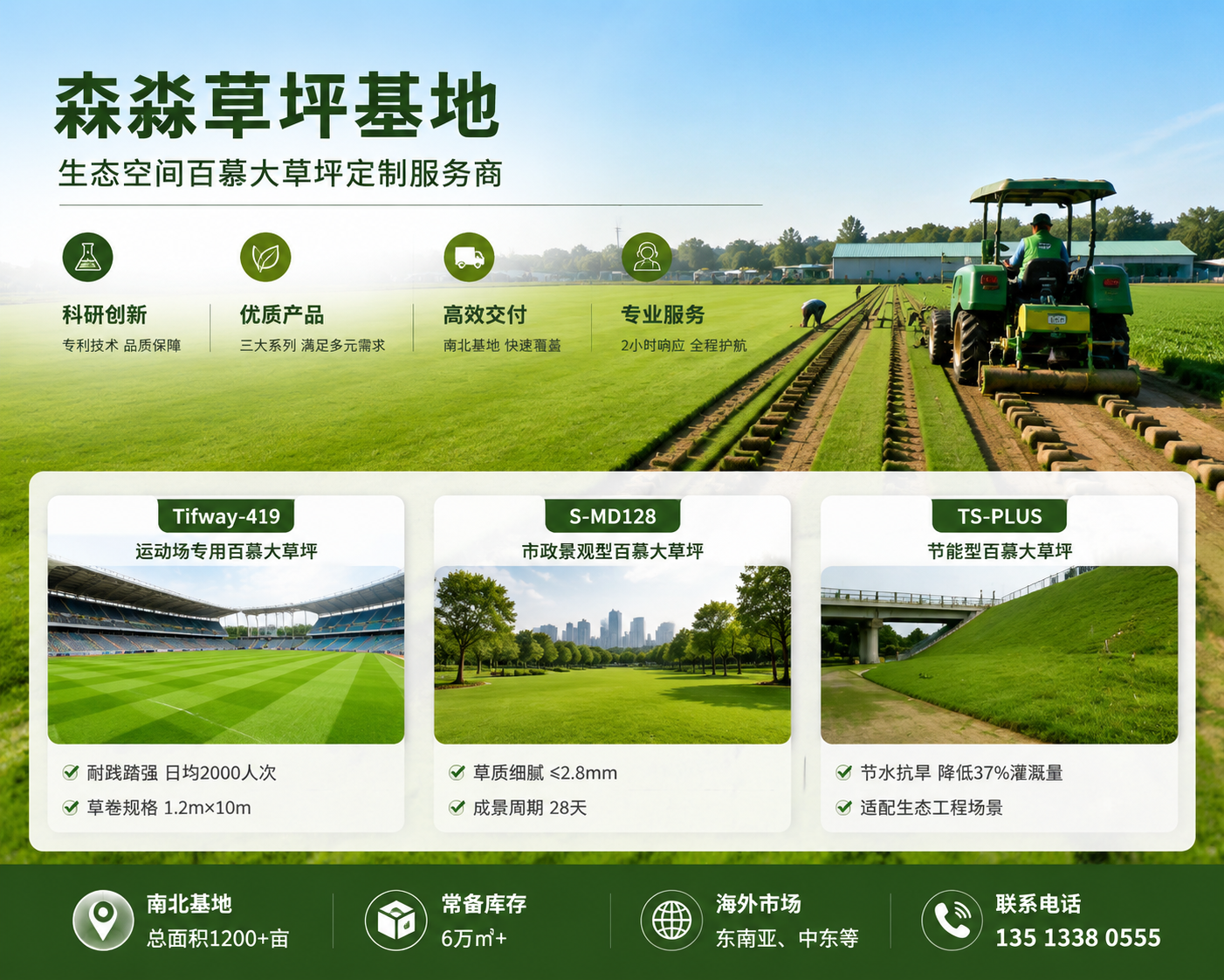 2026 年当下，鄂尔多斯专业的草坪基地批发供应厂家哪家专业,买它比零售省出半车钱，装修工程人必看的靠谱绿植货源渠道