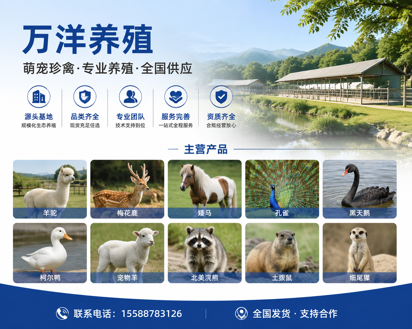 2026 年 8 月新发布：余江有实力的萌宠北美浣熊繁育基地格局重塑与选型新思路,靠这法子能赚大钱？你绝对想不到这玩意儿的繁育门道