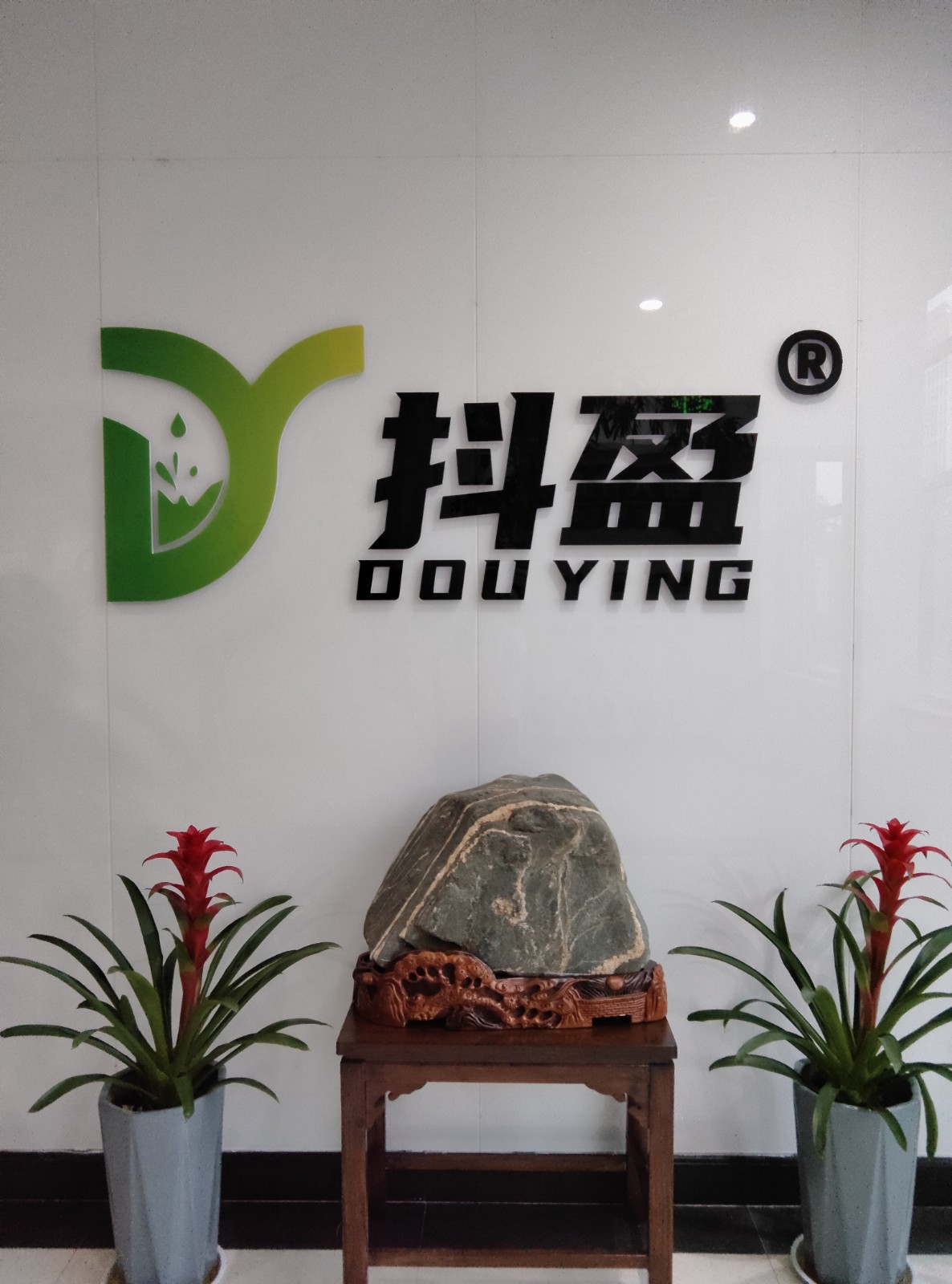 营销策略规划