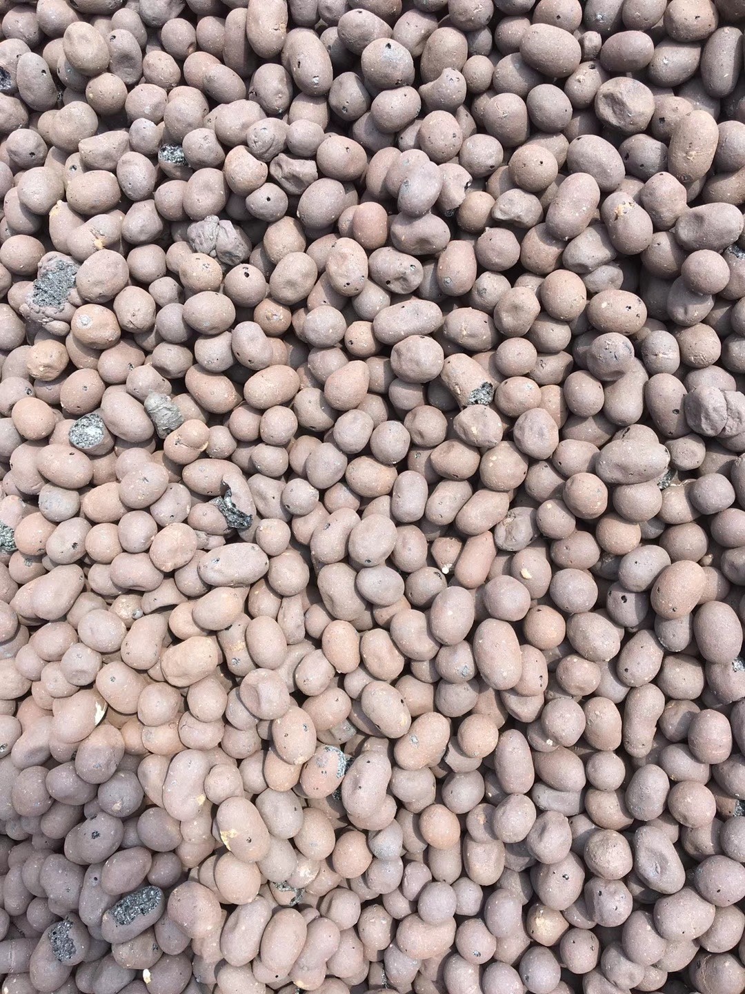 生物陶粒滤料
