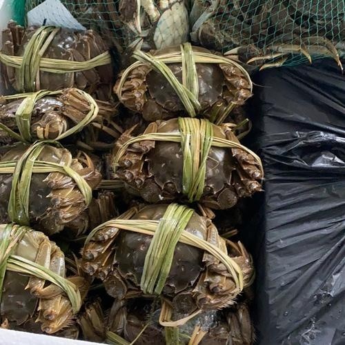 水产加工