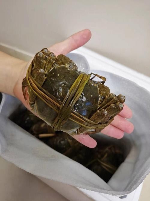 品质检测