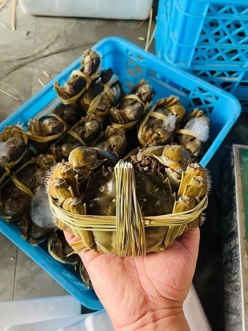 餐饮定制