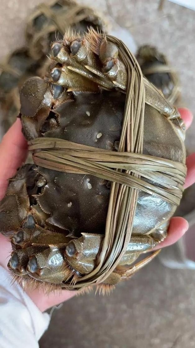 超微蟹粉
