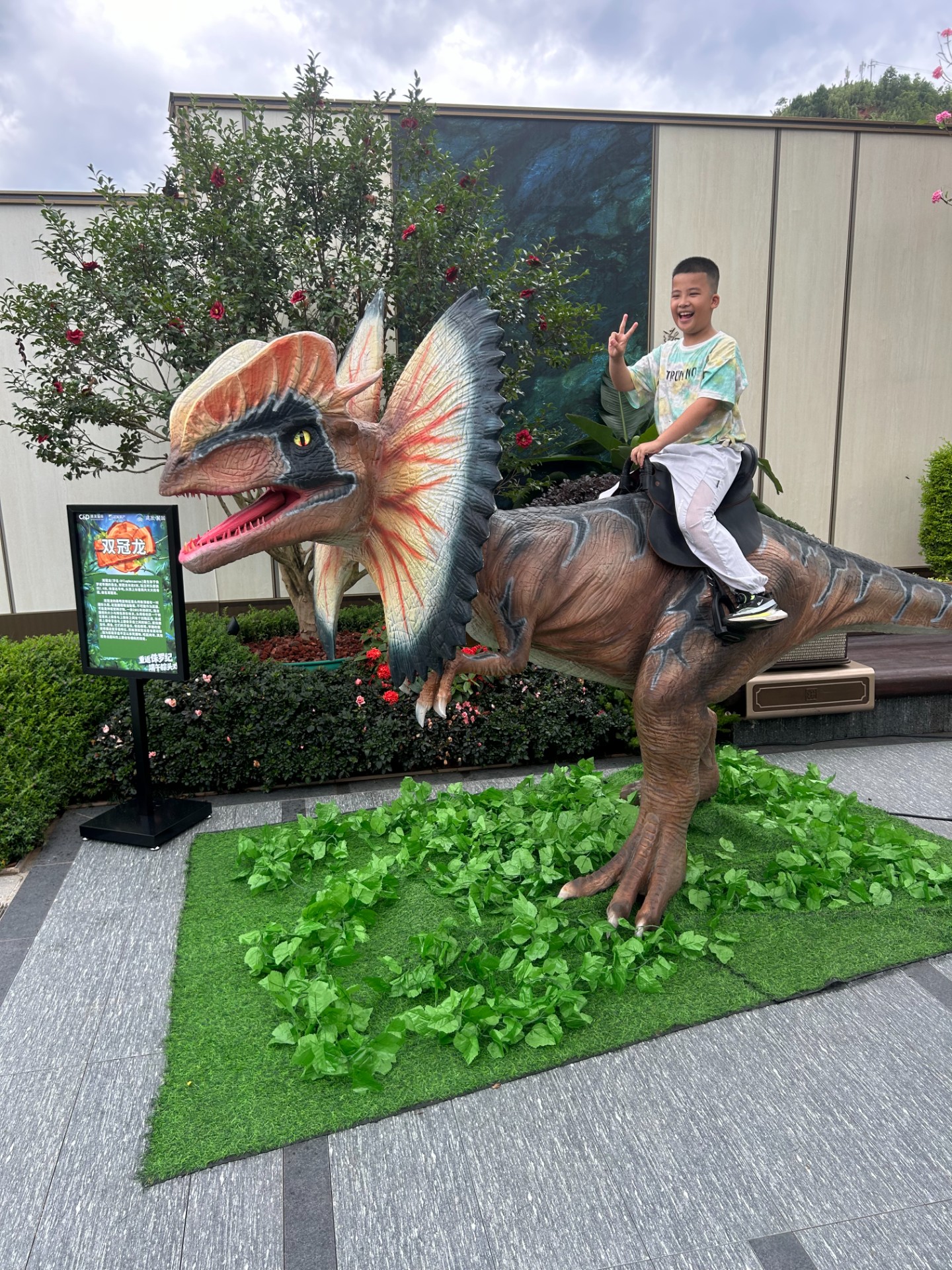 声光联动