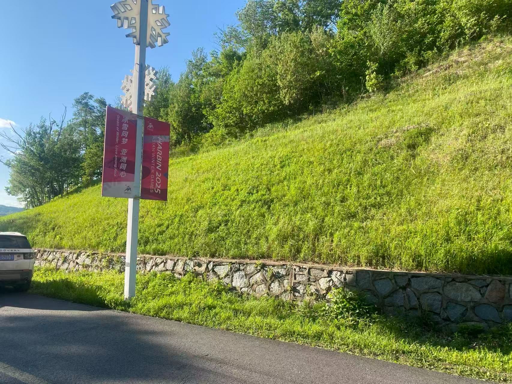 陕西边坡喷播绿化草籽厂家展示