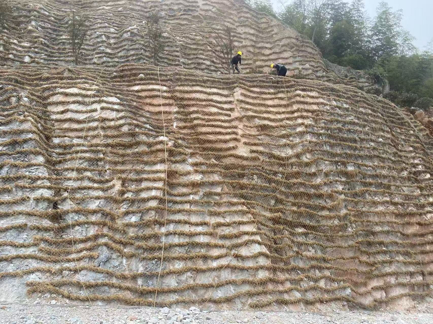 陕西阮茂生态建设工程现货展示
