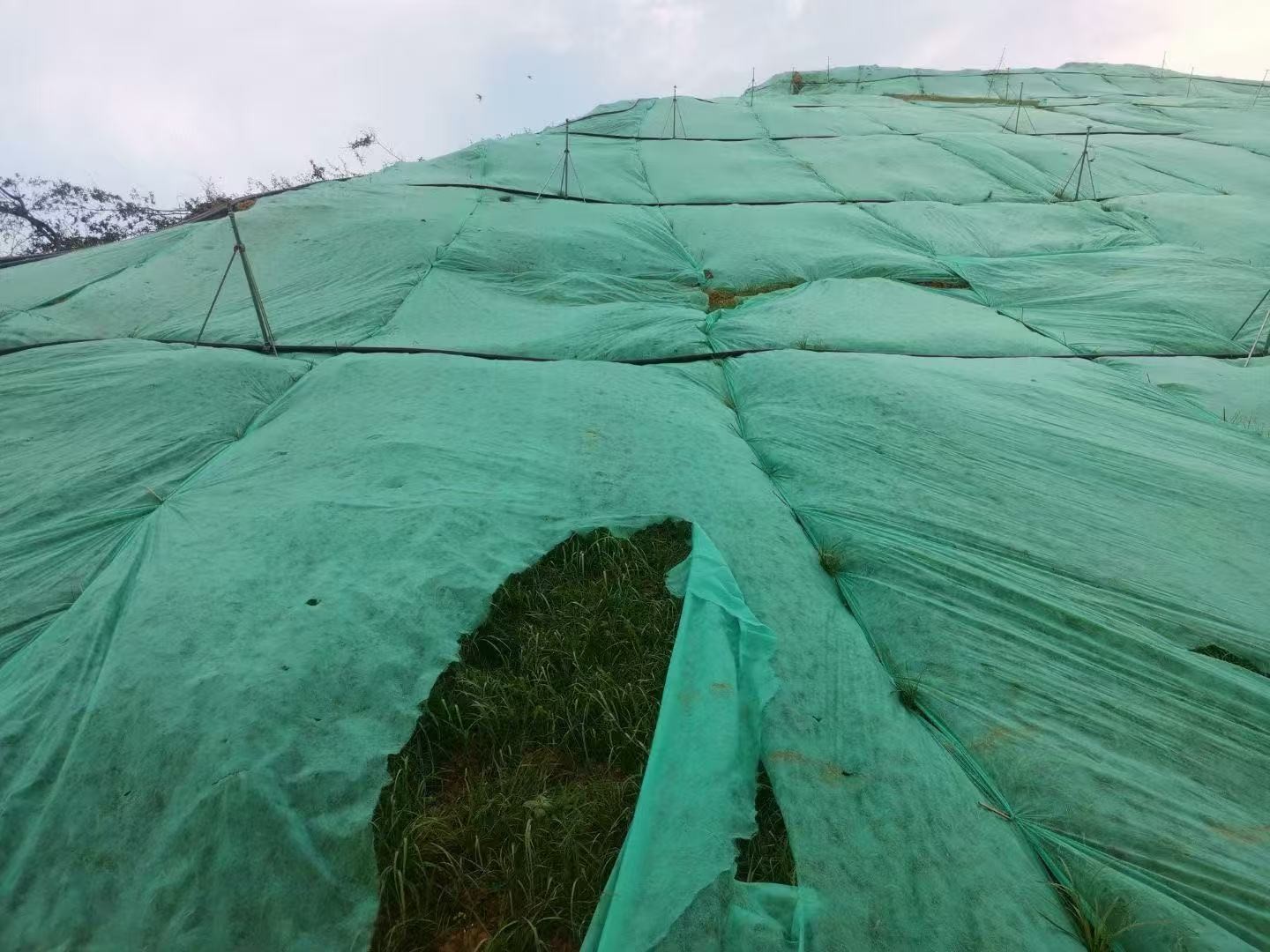 陕西阮茂生态建设工程服务场景