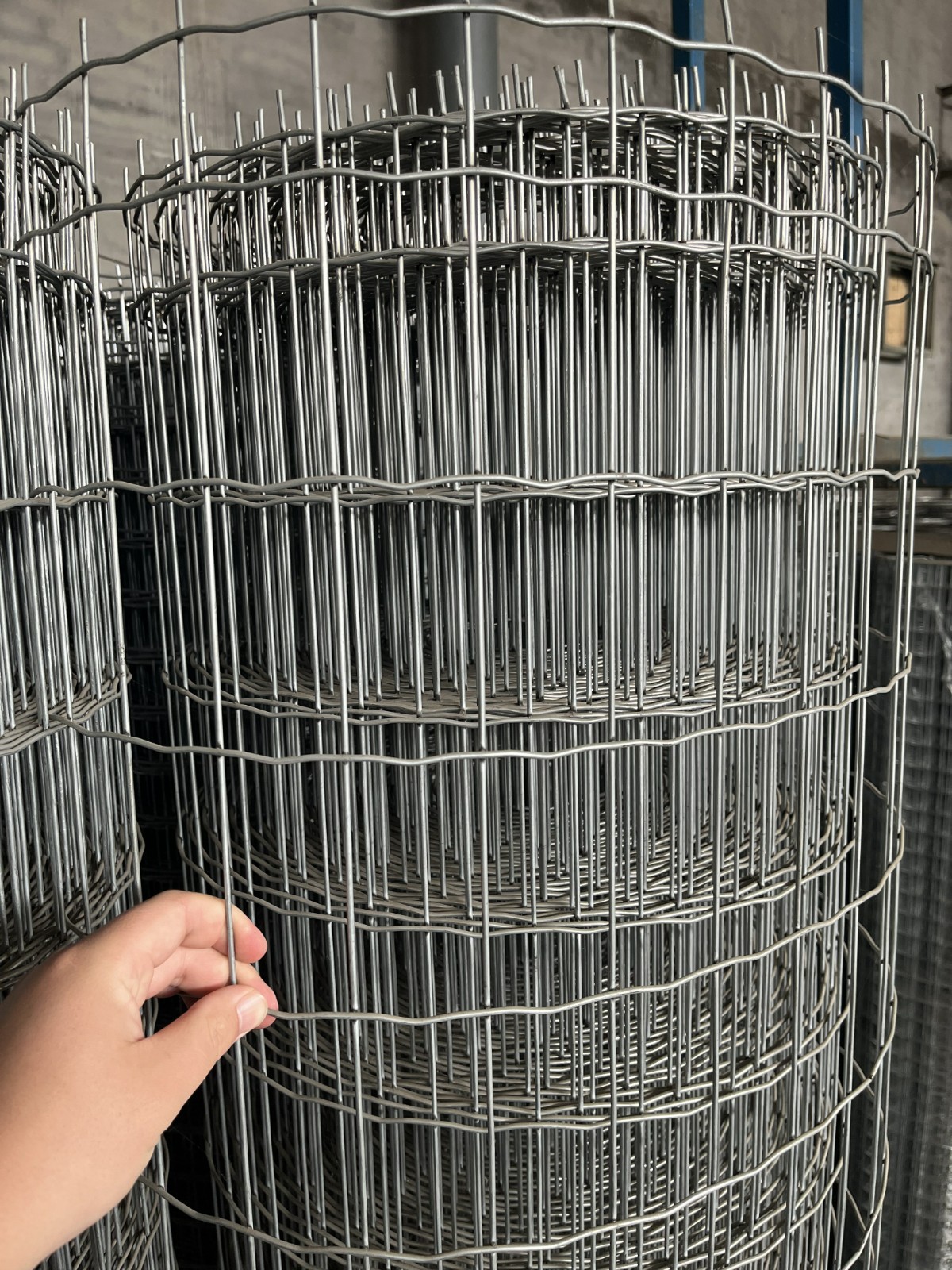 南陵恒宁丝网养殖荷兰网厂家展示