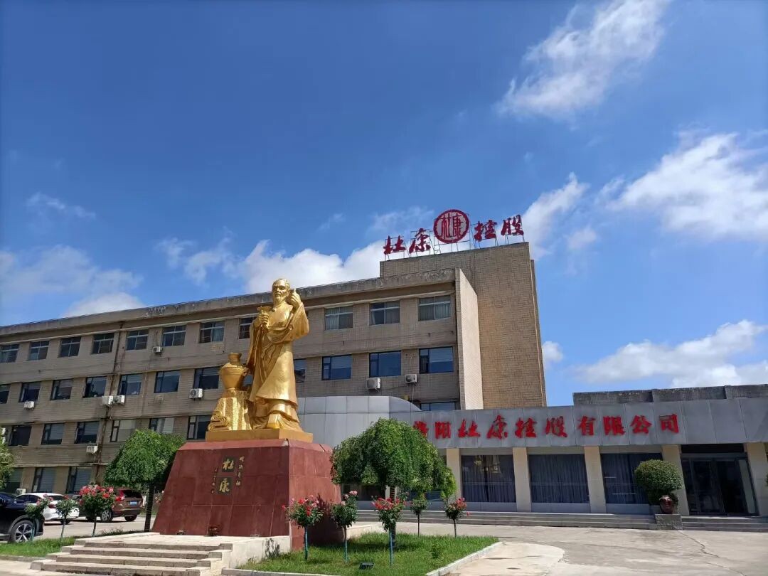 鹰潭豫之醉杜康酒正规的白酒招商实拍
