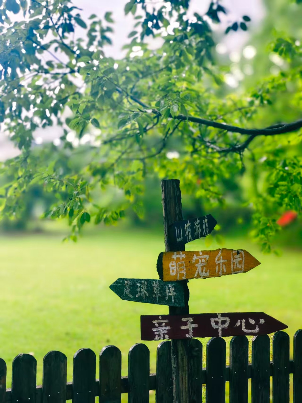 数据追踪