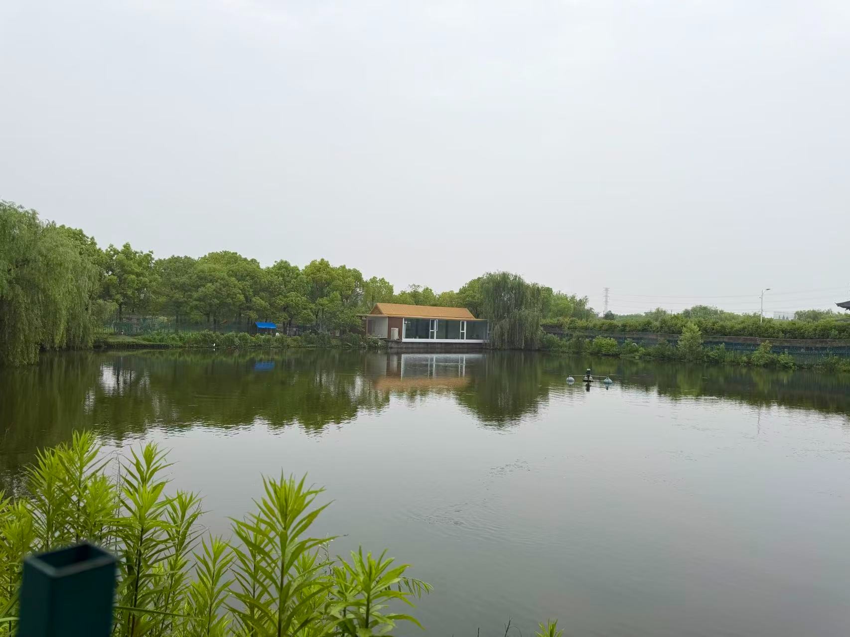 效果评估