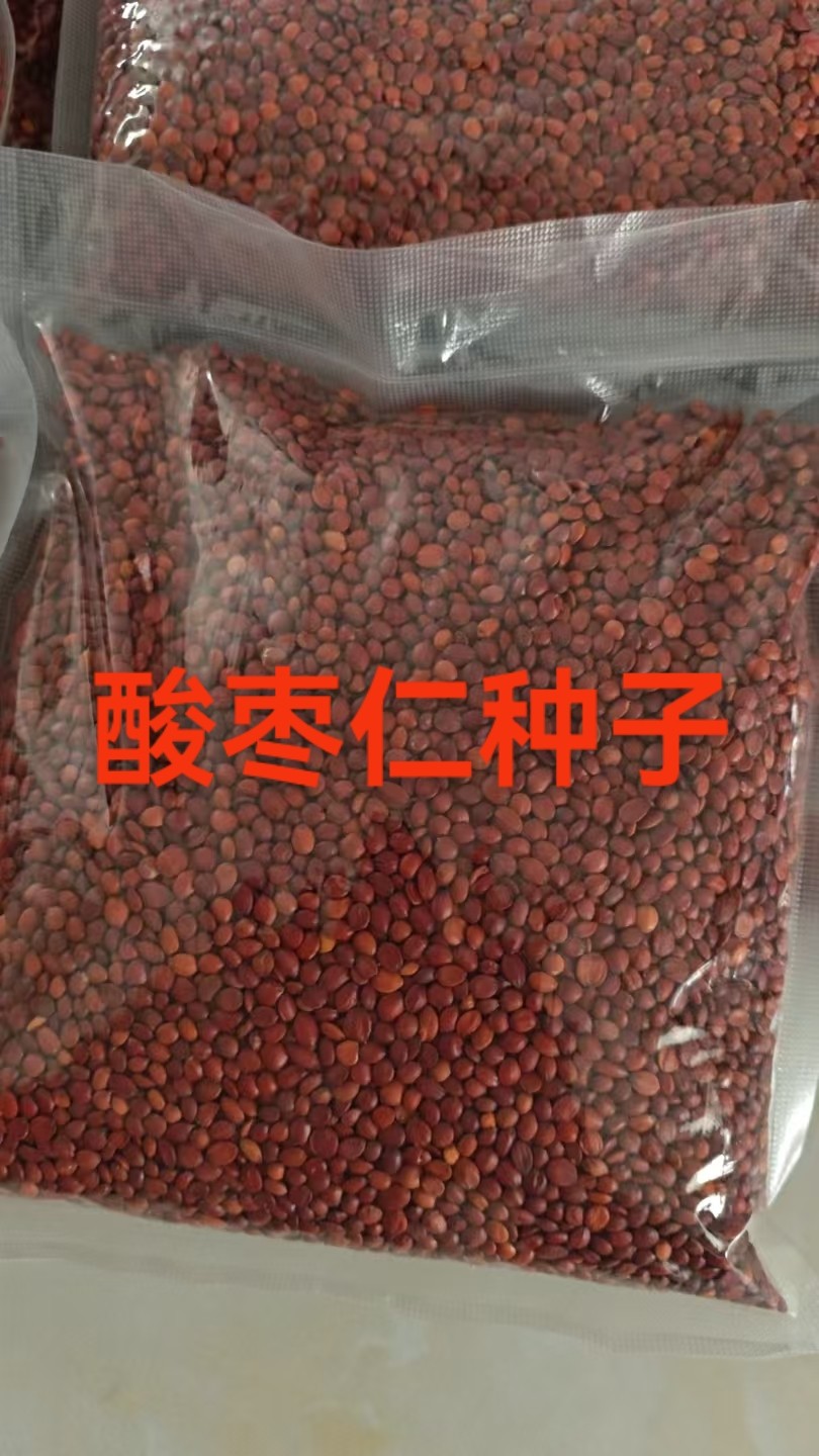 园艺景观