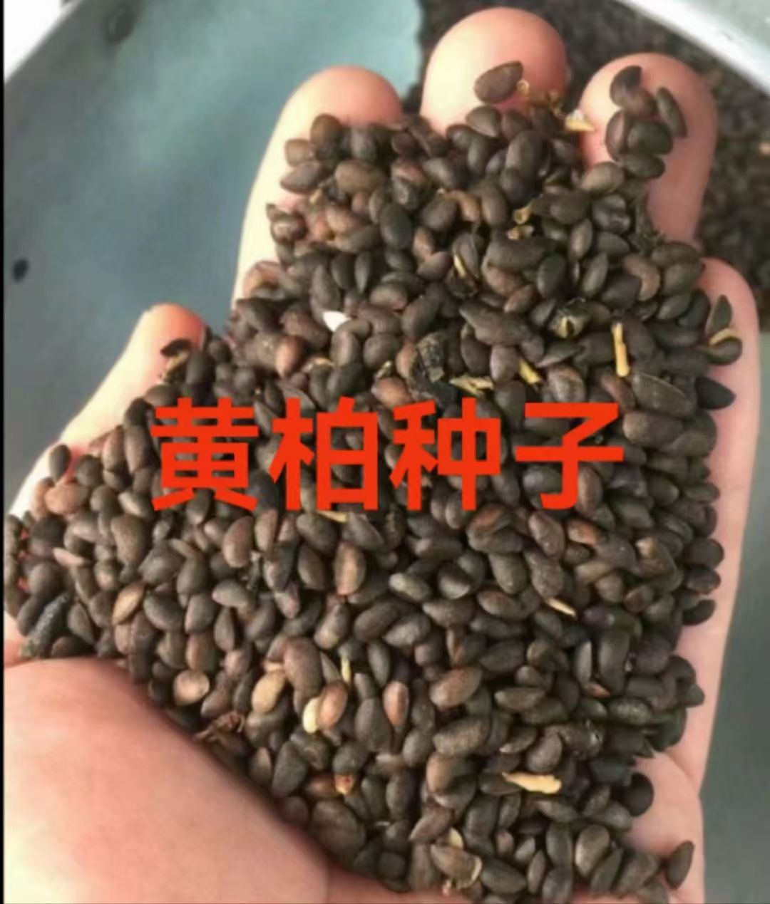 护坡固土