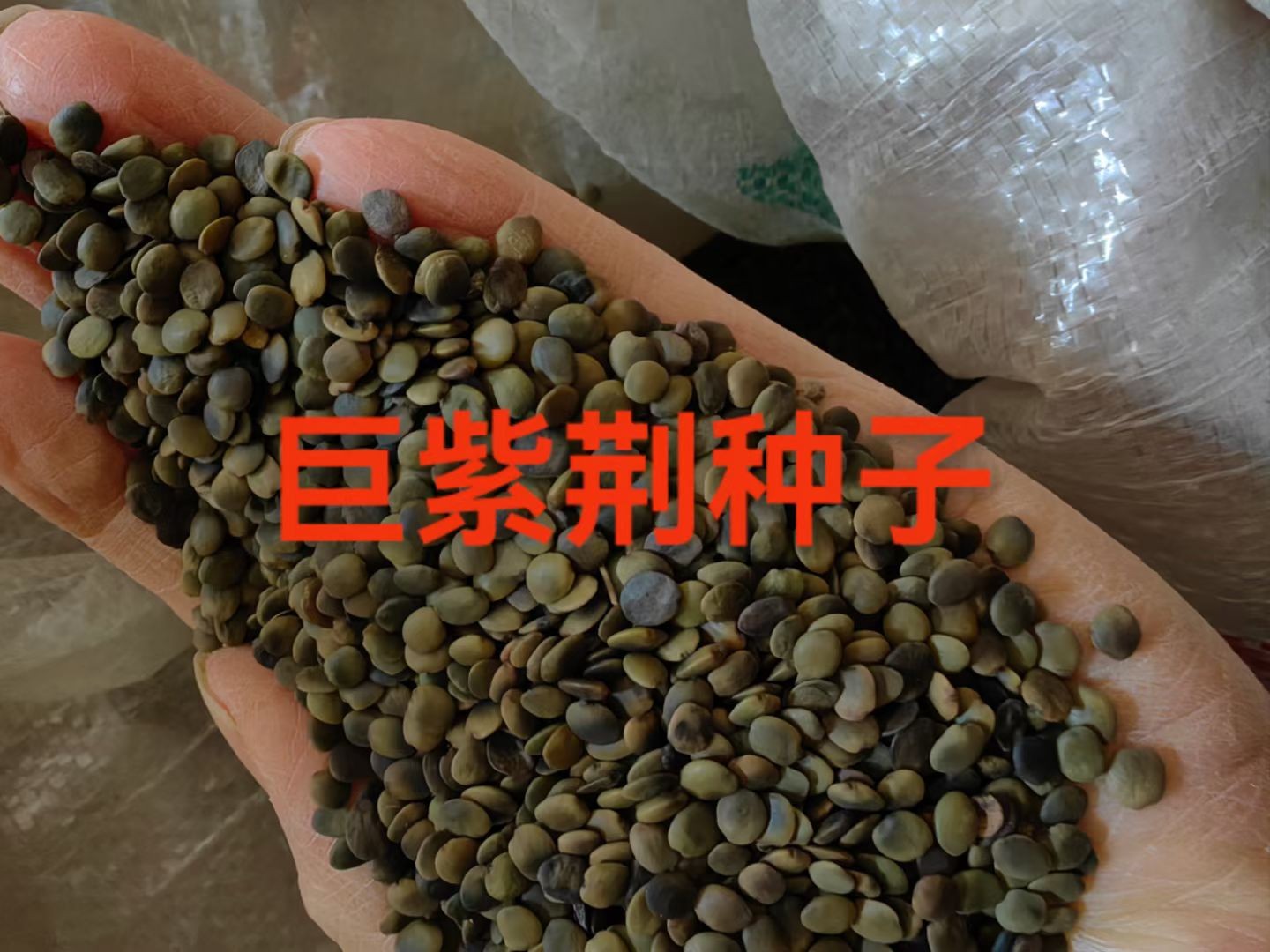 生态修复
