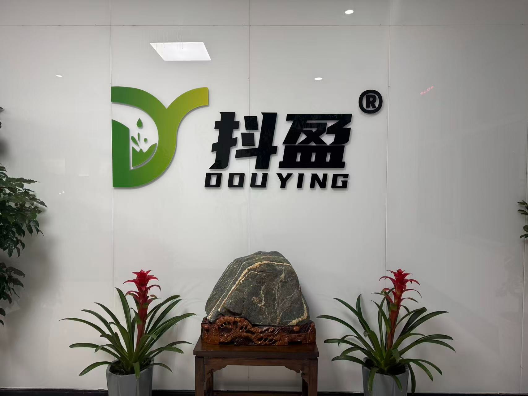 策略规划