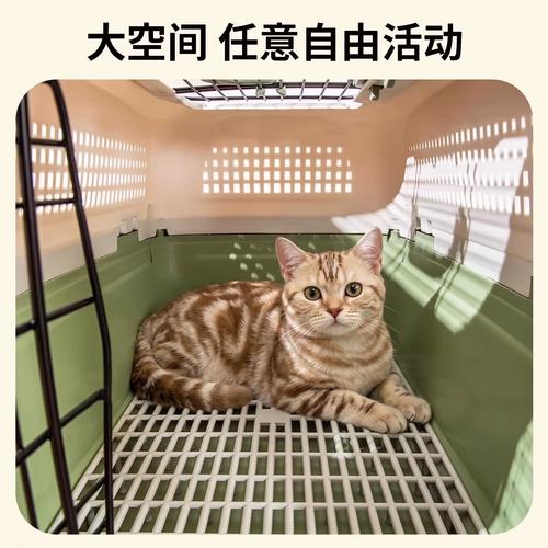 霸州爱萌宠物托运宠物托运应用场景