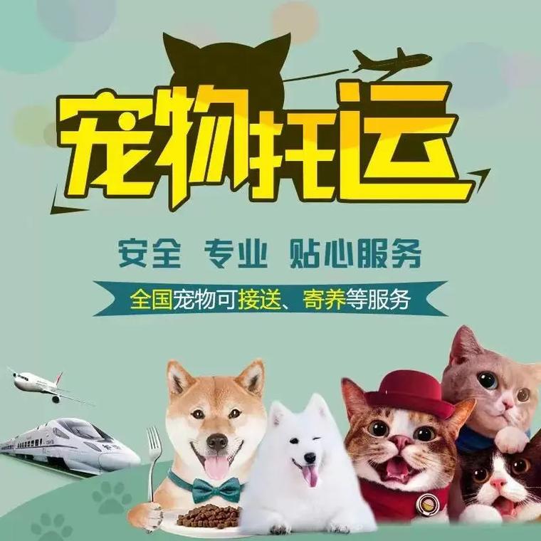 霸州爱萌宠物托运宠物托运案例图片