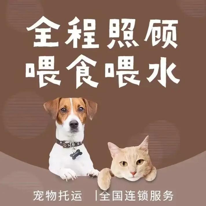 霸州爱萌宠物托运爱萌宠物托运产品细节