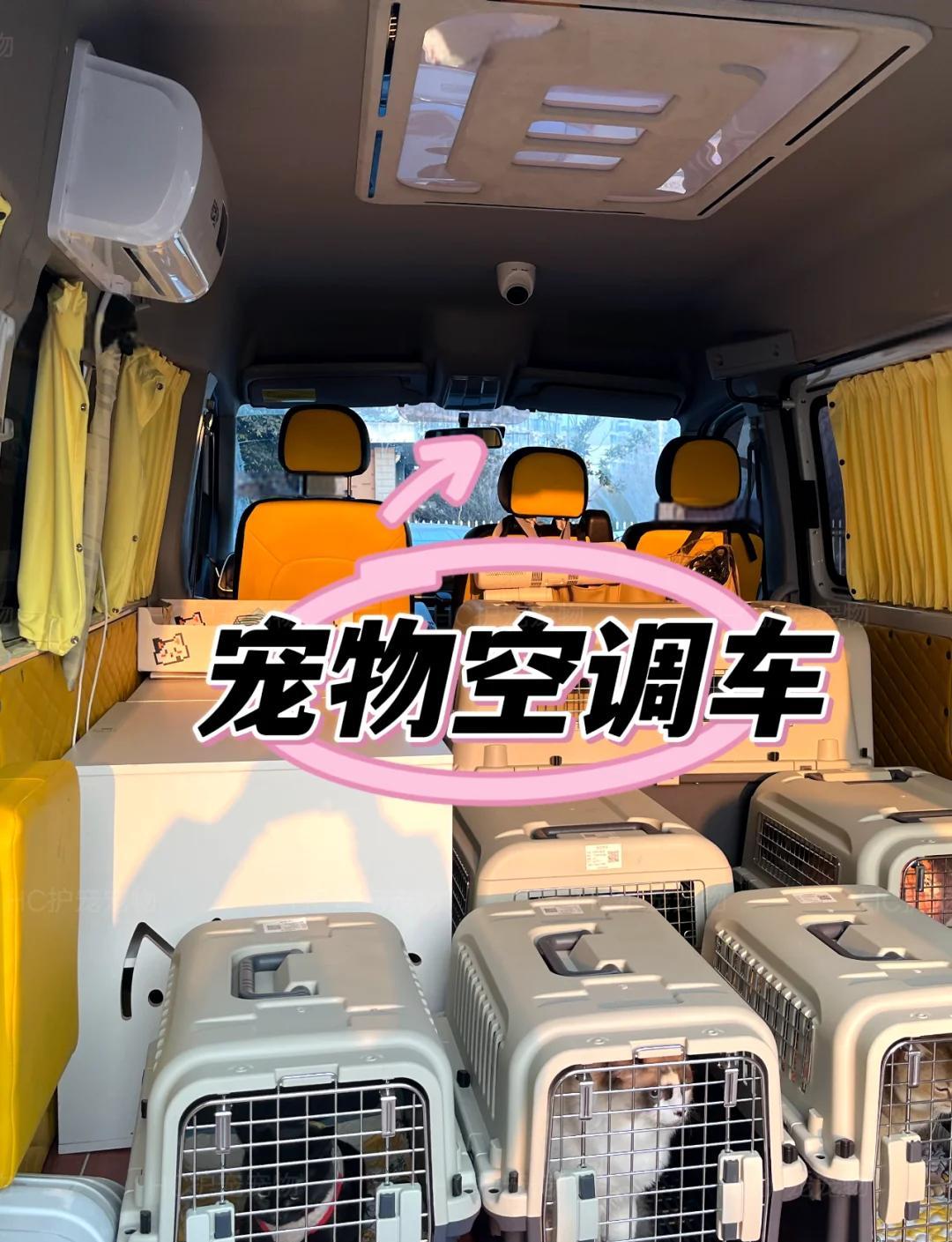 霸州爱萌宠物托运爱萌宠物托运服务场景