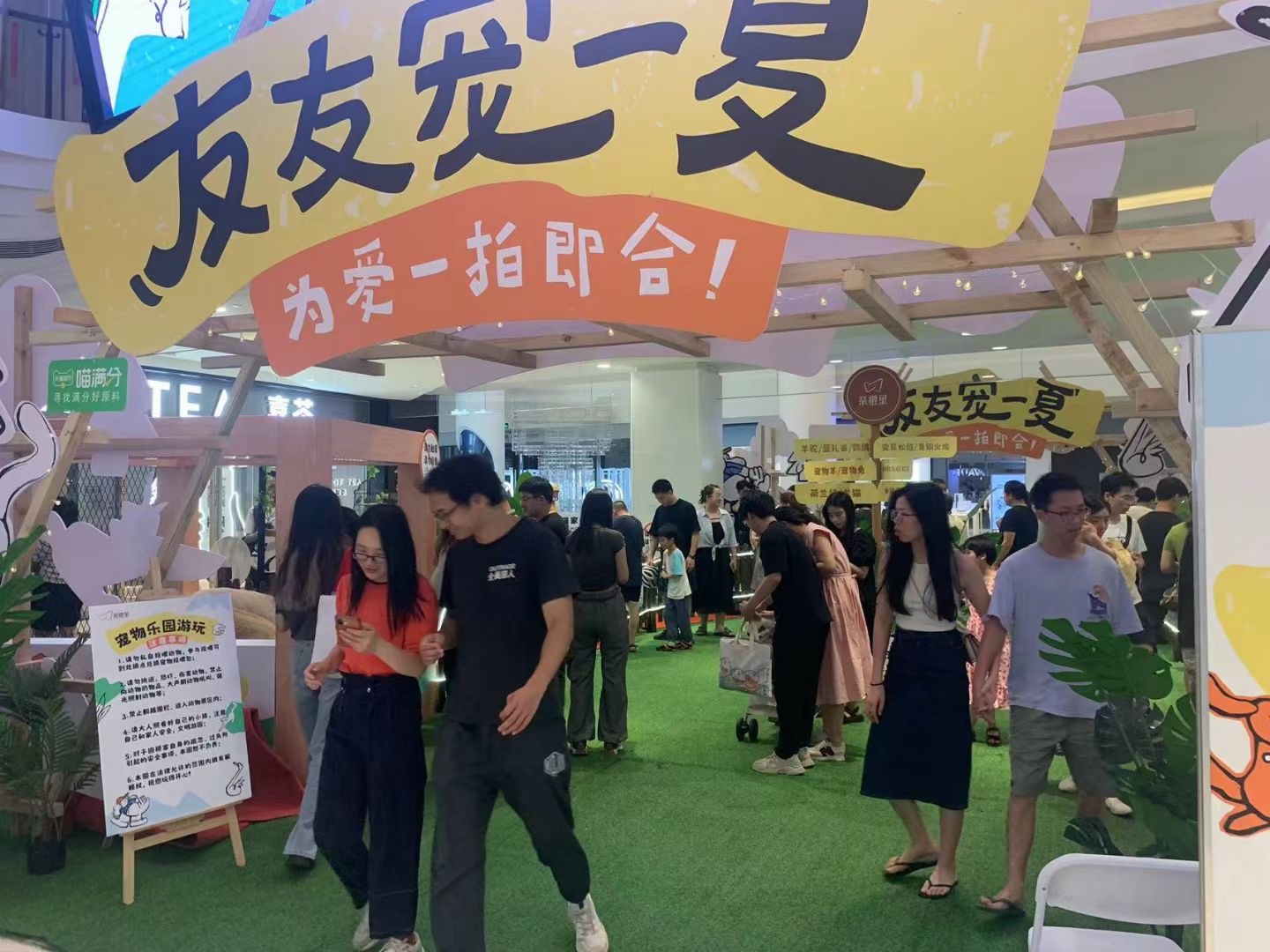 蚌埠硕韵马戏海狮表演租赁公司案例图片
