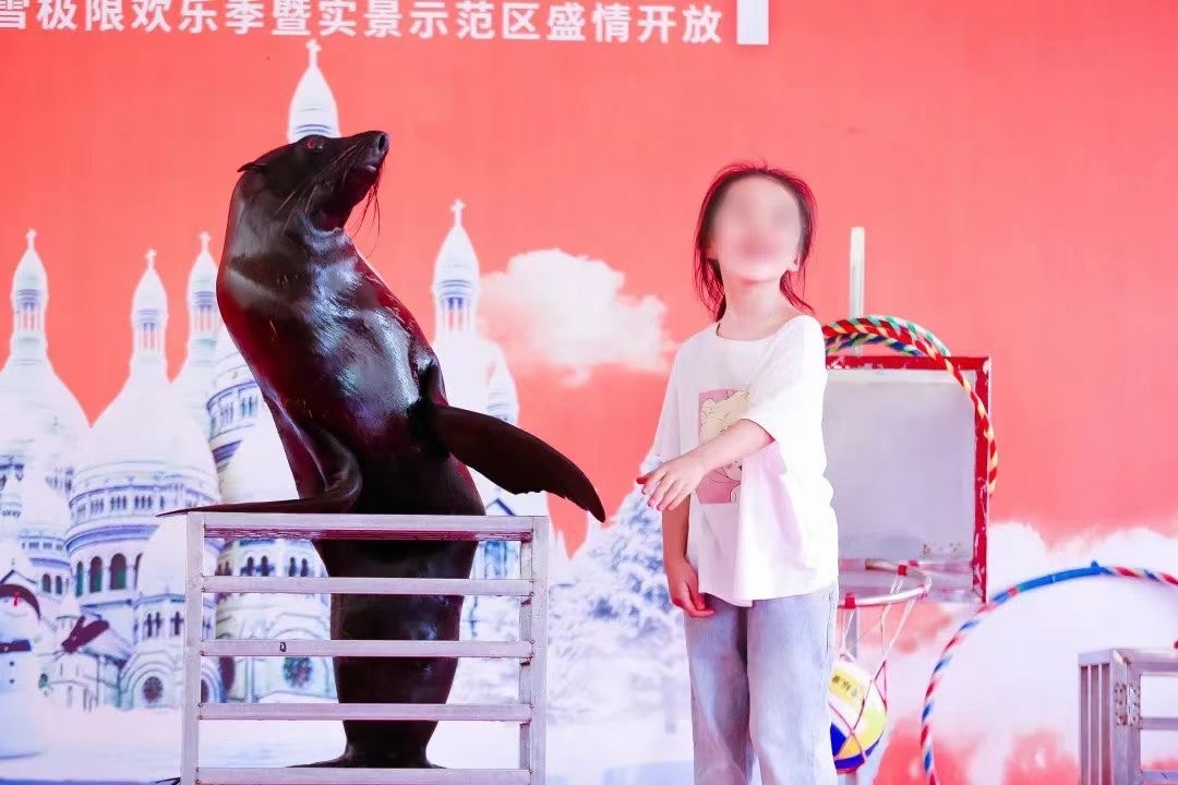 2026 年至今，平川热门的寒带企鹅租赁制造商找哪家,这种让老板爆赚的生意，你猜靠啥？