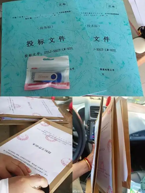 阳明狐域标书标书撰写案例图片