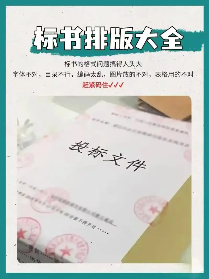 阳明狐域标书标书撰写展示