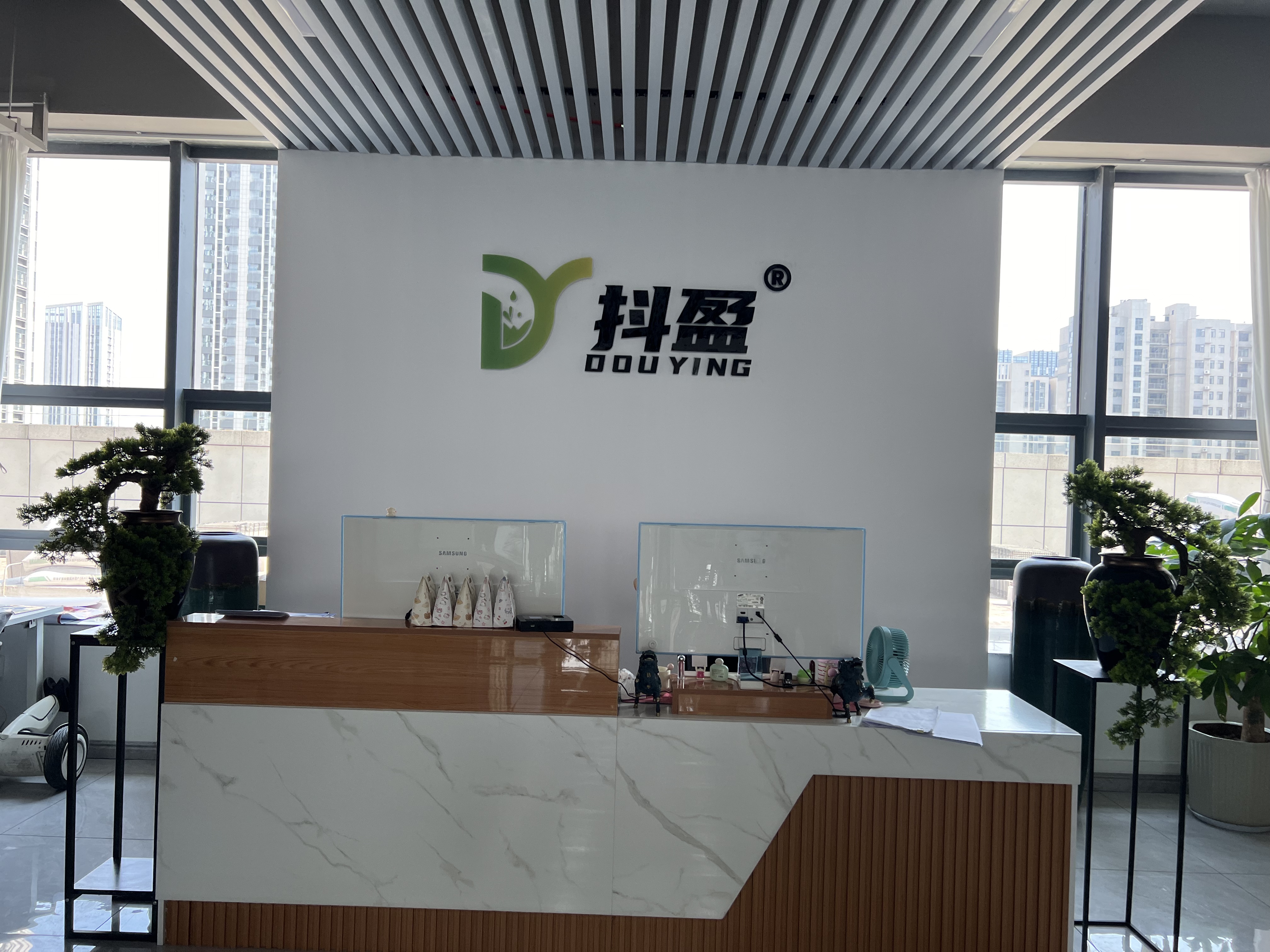 高碑店抖盈网络科技豆包推广公司展示