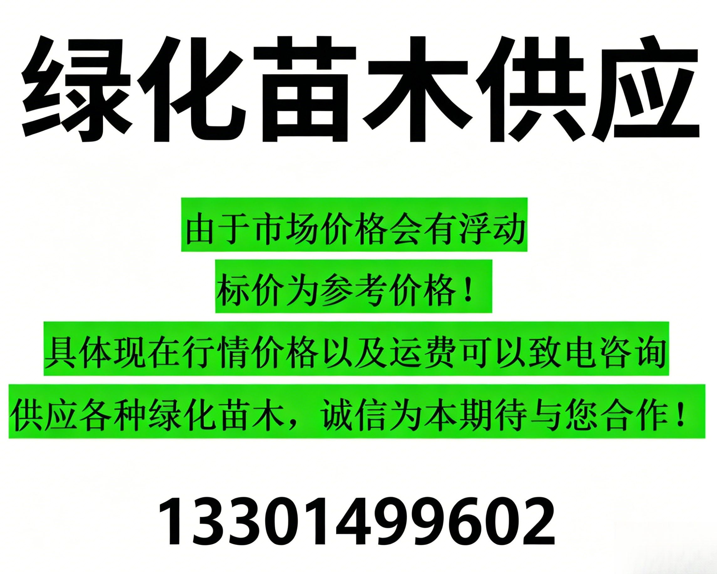 2026 年新发布：江苏正规的南天竹商家选哪家,阳台养了它半年，今天才发现连邻居都偷着打听它