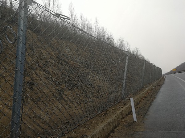 茂名振泰金属制品主动边坡防护网展示