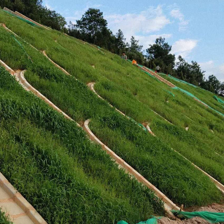陕西客土喷播边坡绿化队伍应用场景