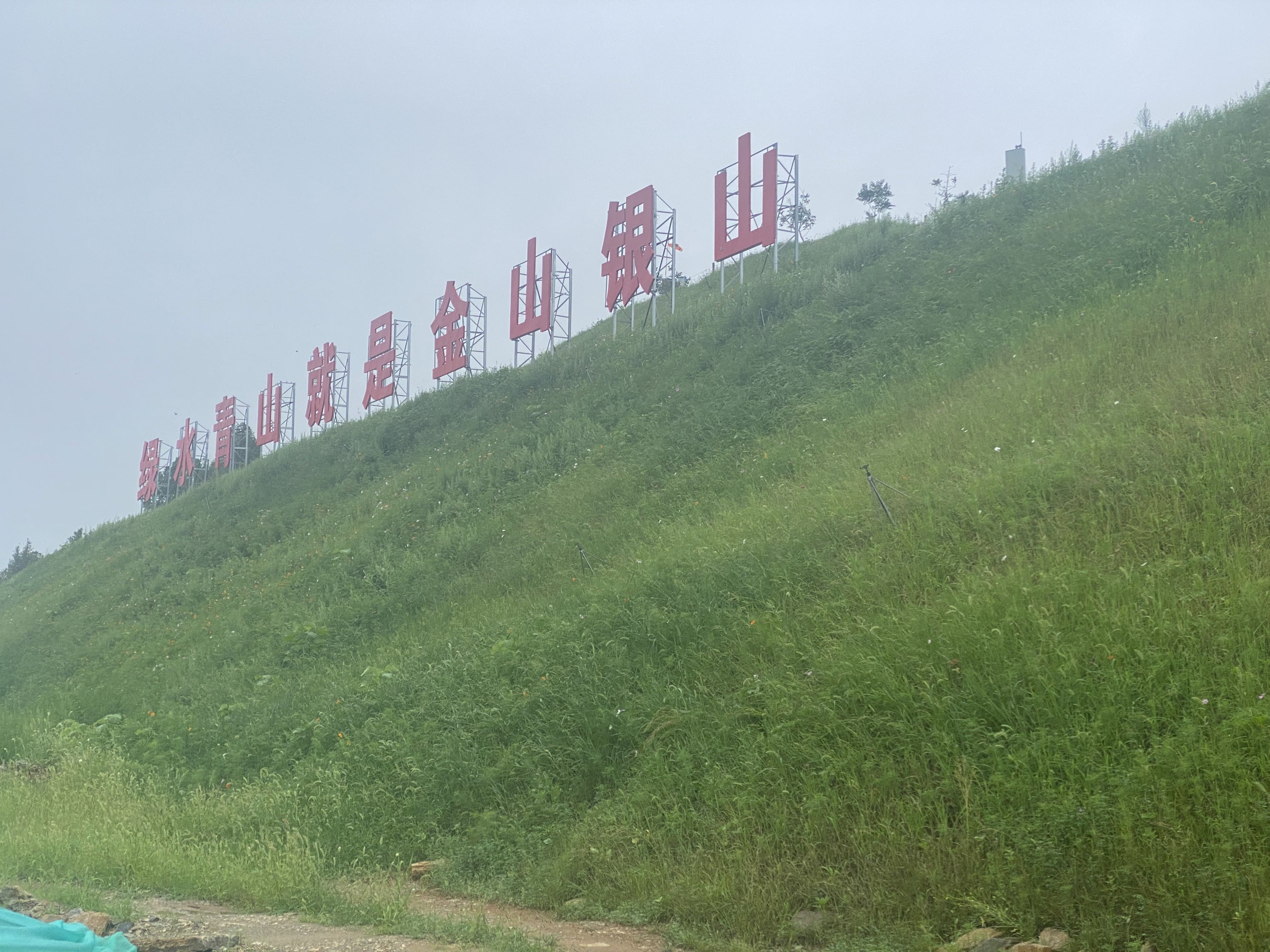 陕西边坡喷播绿化草籽应用场景
