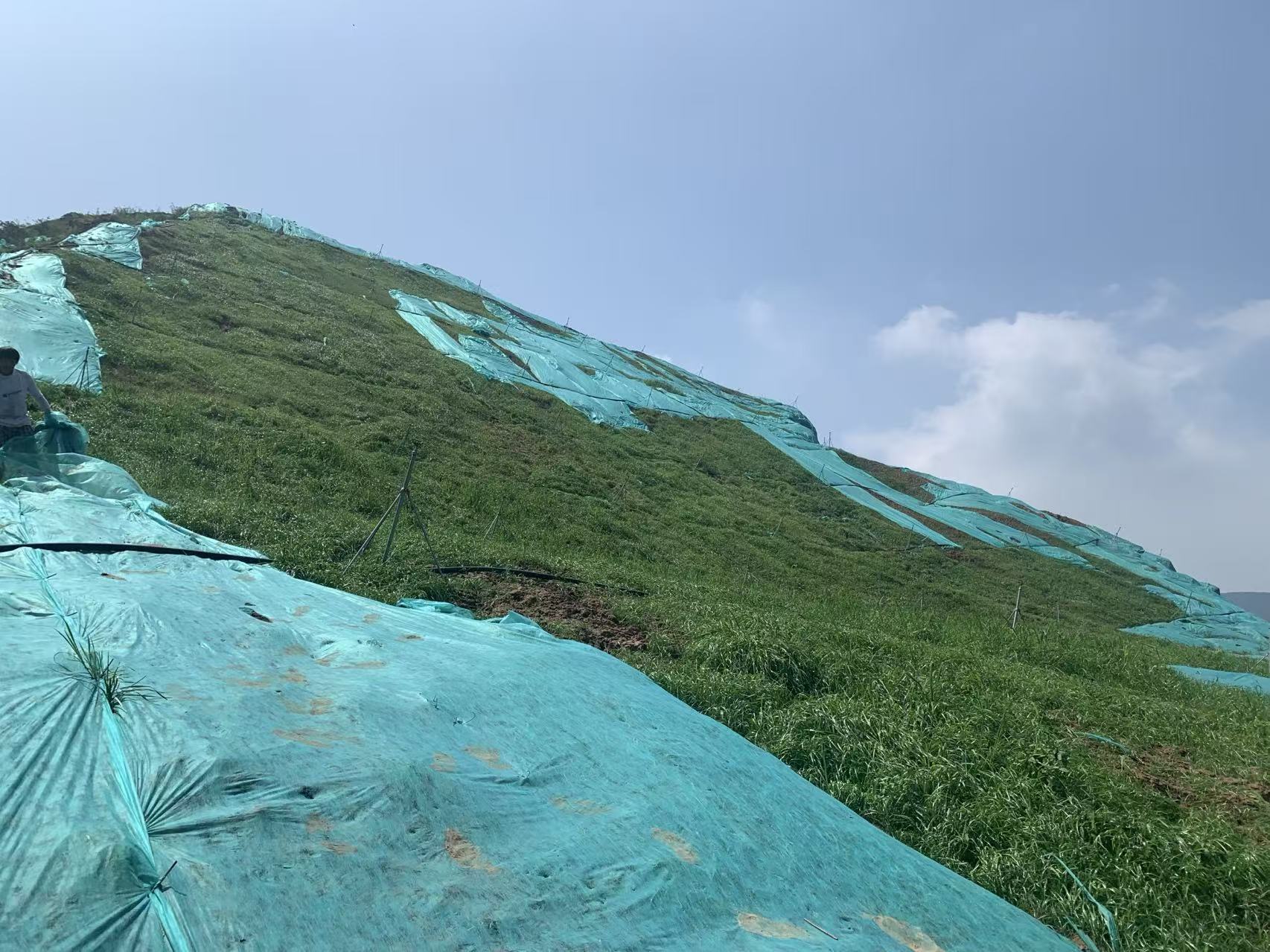 陕西边坡绿化喷播施工队应用场景