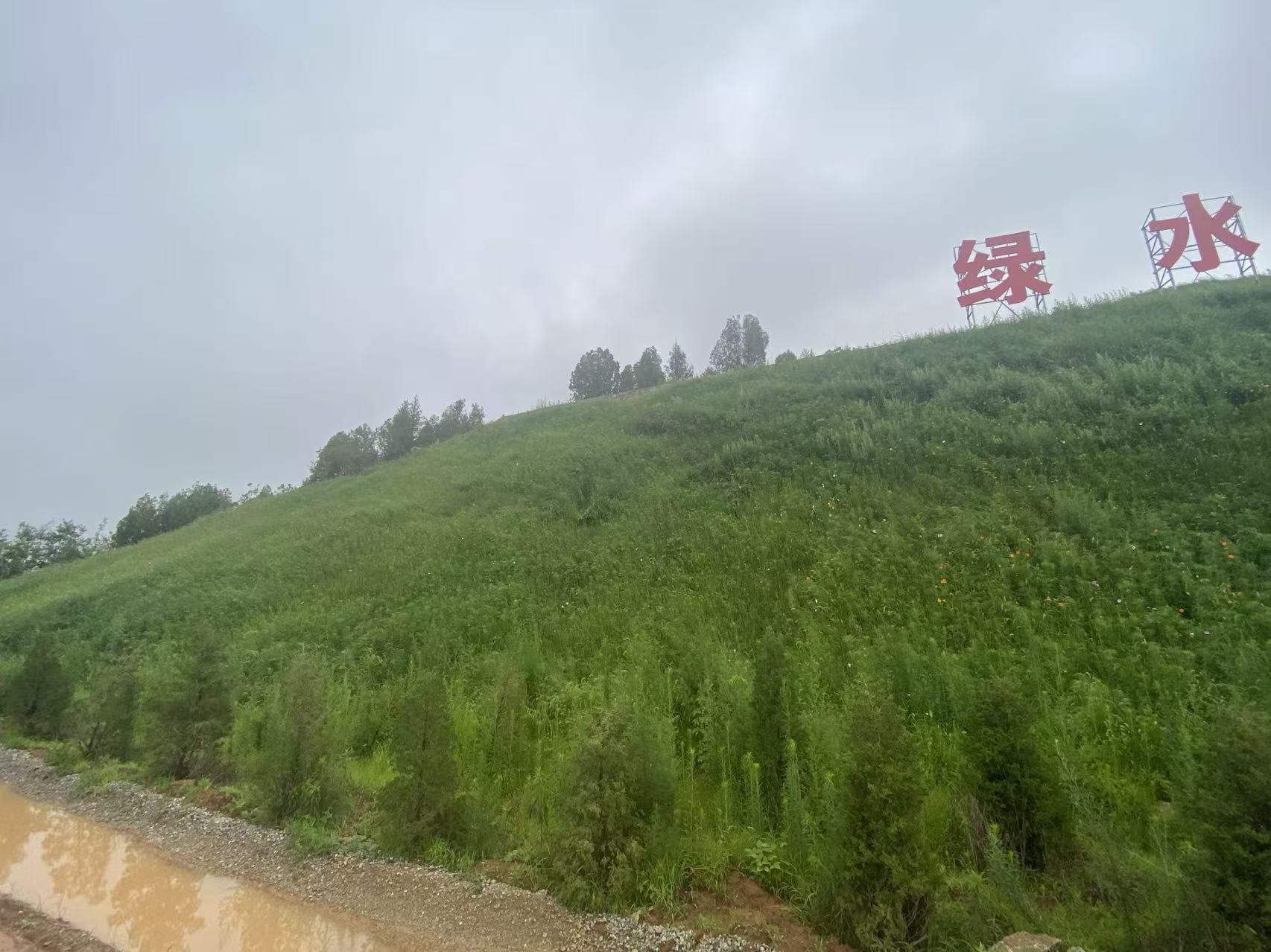 陕西客土喷播边坡绿化队伍实拍