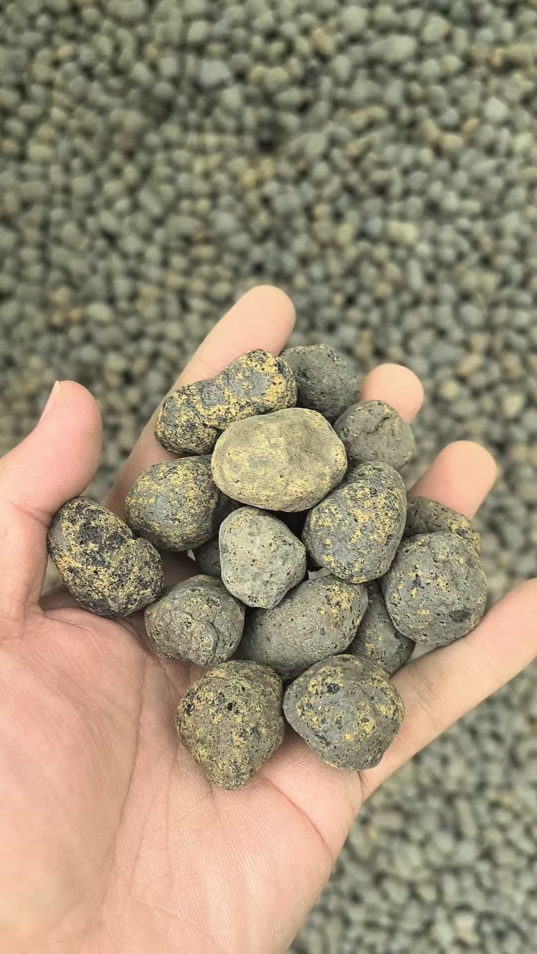 广东良品陶粒产品细节