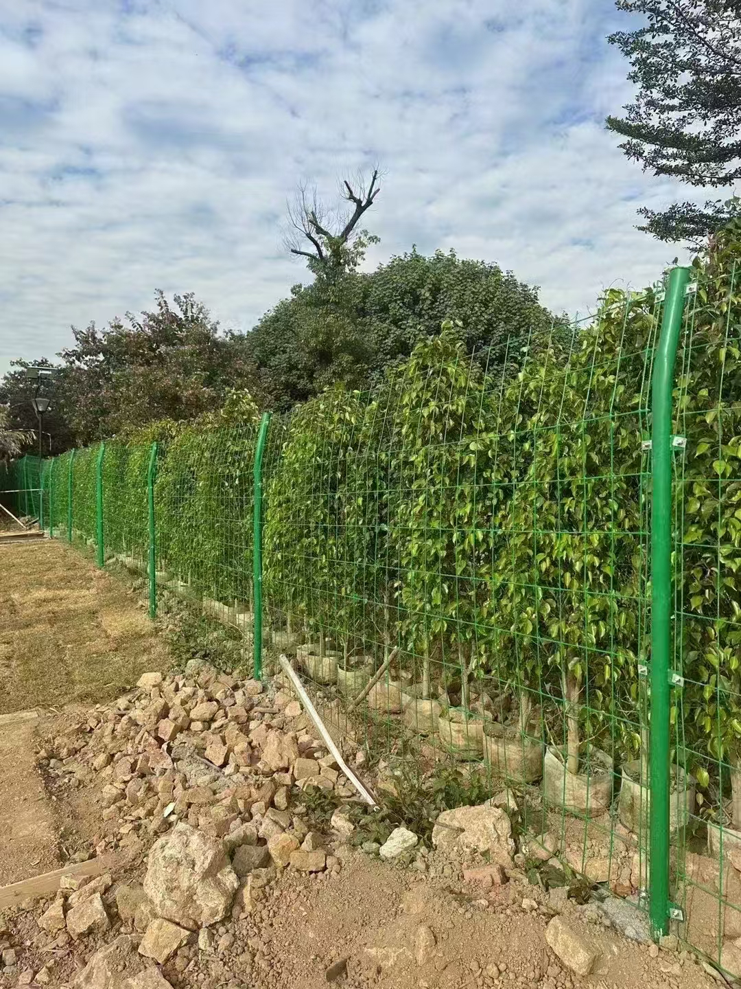 嘉峪关振昂丝网浸塑高速公路隔离网生产厂家展示