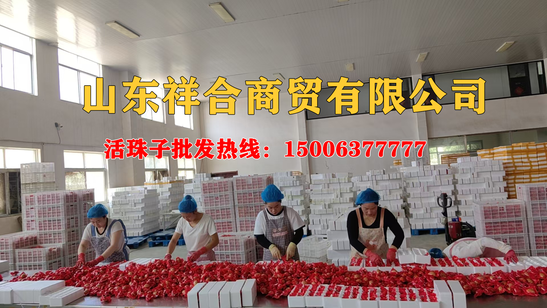 2026 年新消息：通化品质可靠的饭店专用活珠子供货商供应商联系方式,开饭店的人都在找这玩意儿，能让翻台率提三成的好东西到底在哪拿？