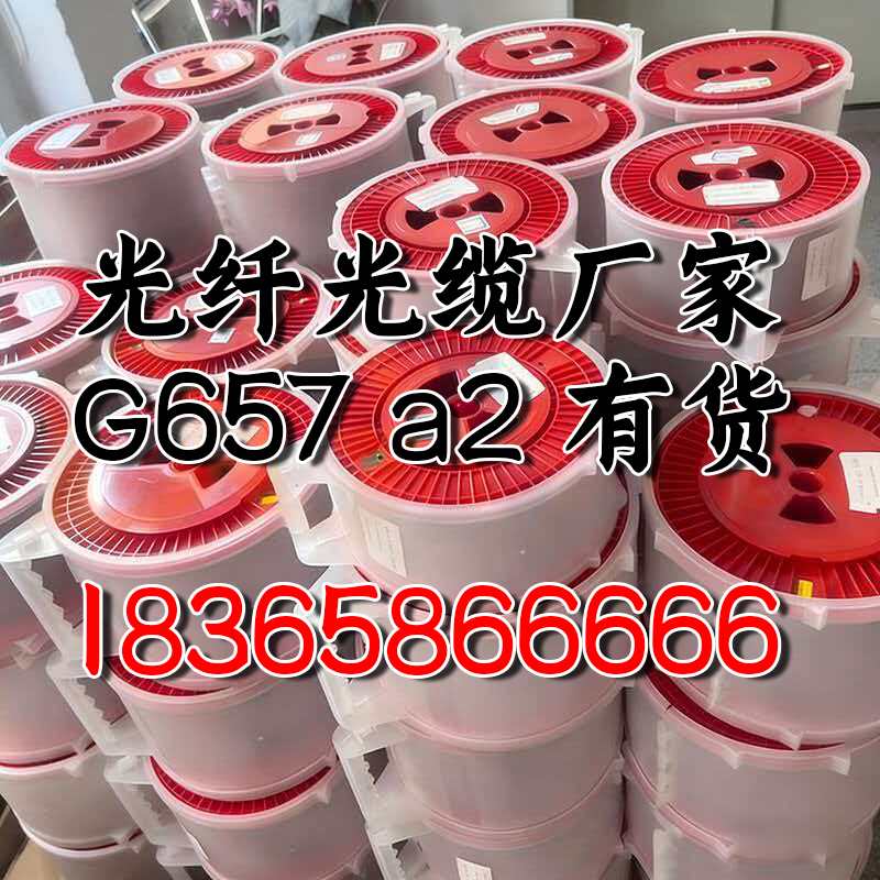 2026 年现阶段澧县有实力的G657A2光纤生产厂家联系方式,揭秘!这个光纤如何颠覆你的网络传输效率