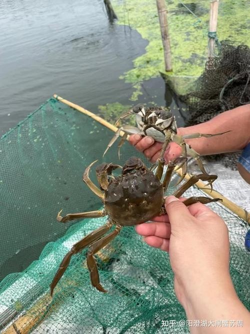 冷链物流