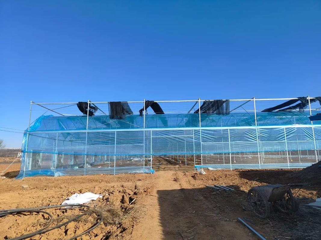 河北衡水大棚材料包工包料