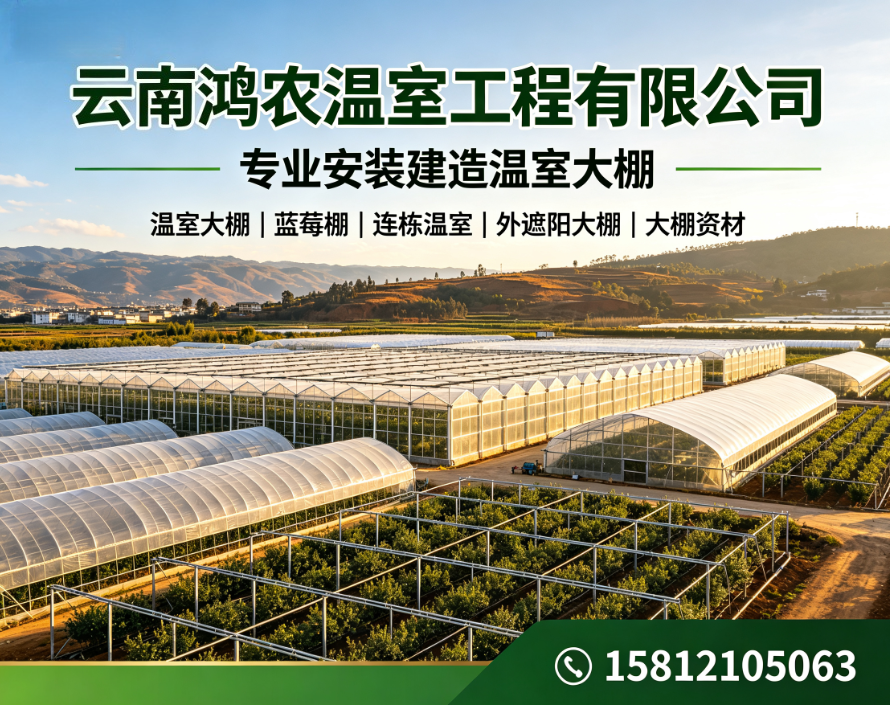2026 年至今，双江拉祜族佤族布朗族傣族自治专业的蓝莓支架工厂联系电话,这种用来撑住蓝莓枝条的小物件，竟能帮果农省掉大半绑枝工夫？