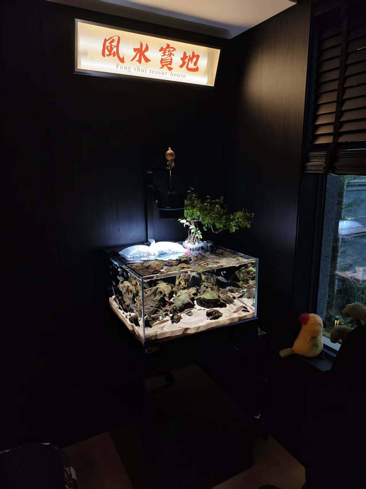 镇江谷特GUTETANK鱼缸兰寿缸口碑好的厂家推荐实拍