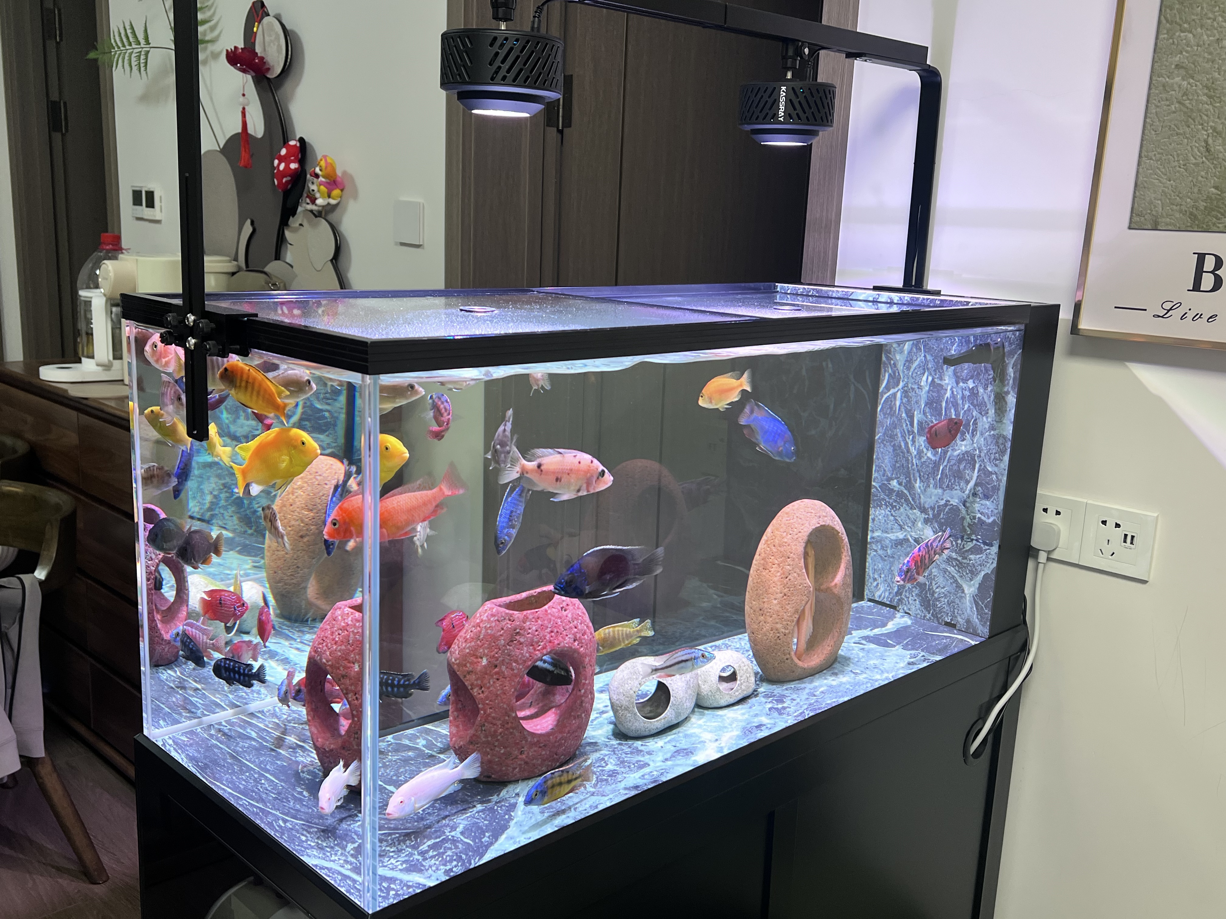 镇江谷特GUTETANK鱼缸谷特GUTETANK鱼缸厂区外景