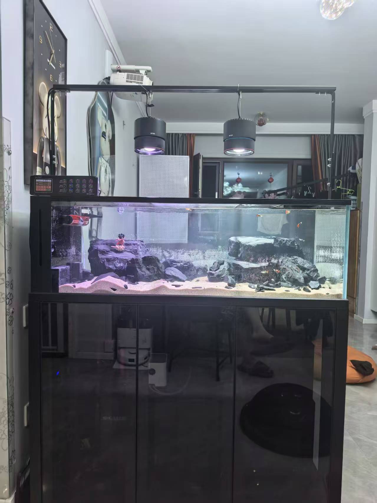 镇江谷特GUTETANK鱼缸溪流缸哪个厂家质量好应用场景