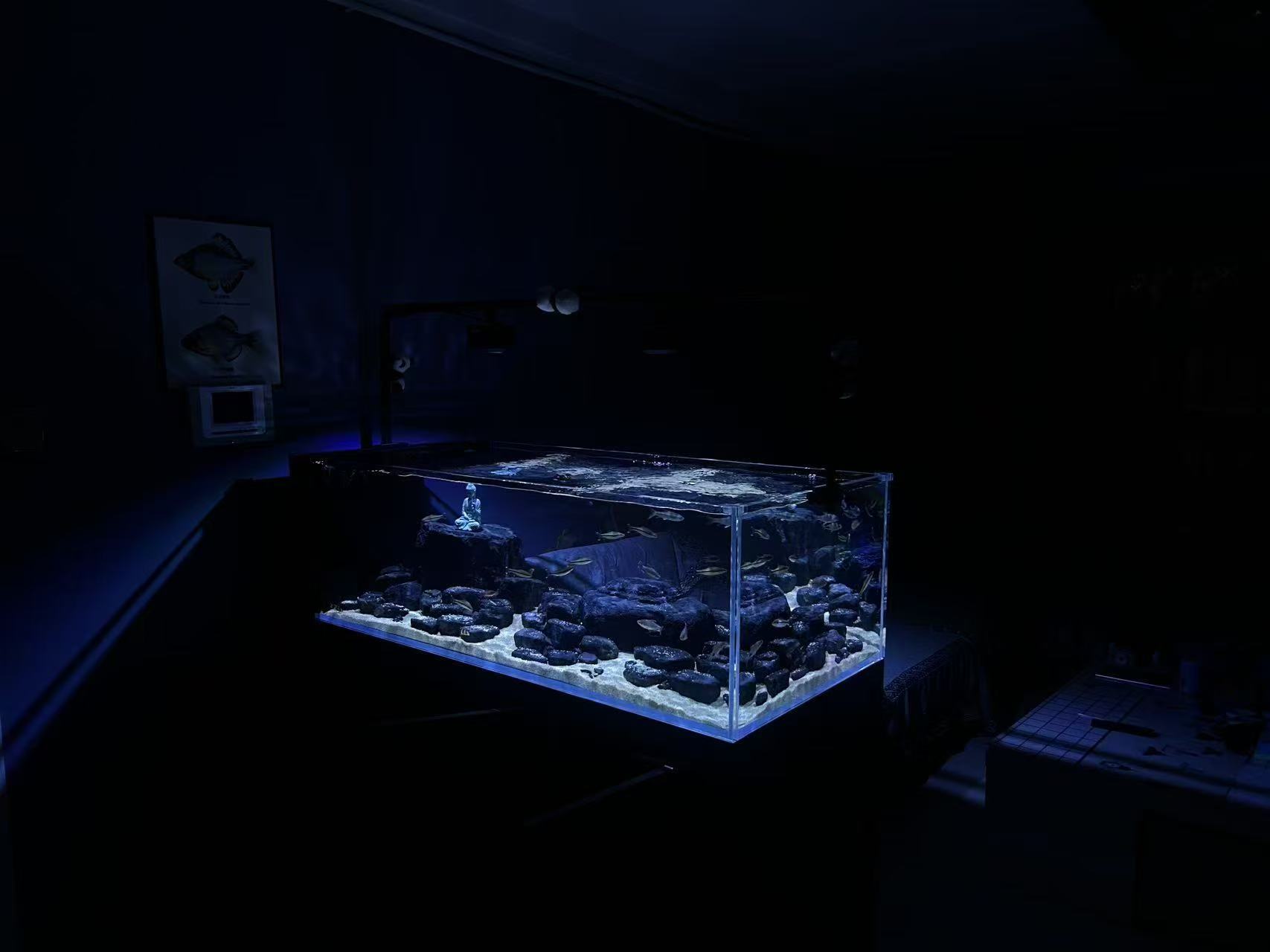 镇江谷特GUTETANK鱼缸溪流缸哪个厂家质量好案例图片
